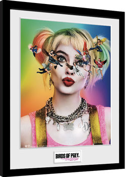 Birds Of Prey: et la fantabuleuse histoire de Harley Quinn - One Sheet Poster encadré