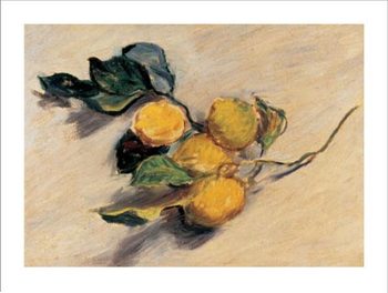 Branch from a Lemon Tree Reproduction de Tableau