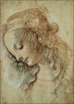 Head of a Woman Reproduction de Tableau