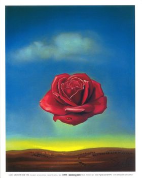 Meditative Rose, 1958 Reproduction de Tableau