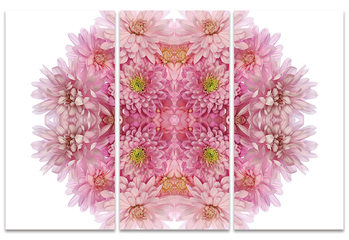 Alyson Fennell - Pink Chrysanthemum Explosion Tableau sur Toile