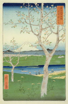 Fuji from Koshigaya, Mushashi, No.14 from the series '36 Views of Mt. Fuji', ('Fuji Saryu Rokkei'), Tableau sur Toile