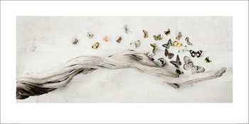 Ian Winstanley - Drift of Butterflies Художествено Изкуство