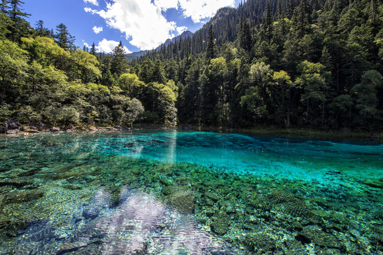 Arte fotográfico China 10MKm2 Collection - Beauty of Jiuzhaigou