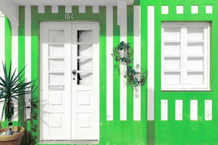 Arte fotográfico Costa Nova Green Facade