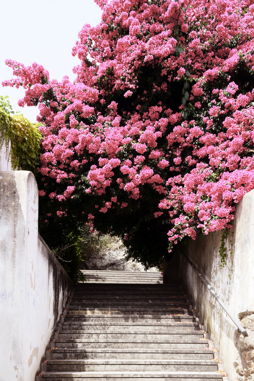 Arte fotográfico Flowery Staircase