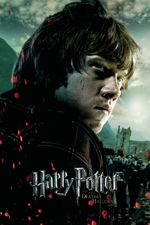 Poster Quadro Harry Potter Ron Weasley Regalos Merch Posters