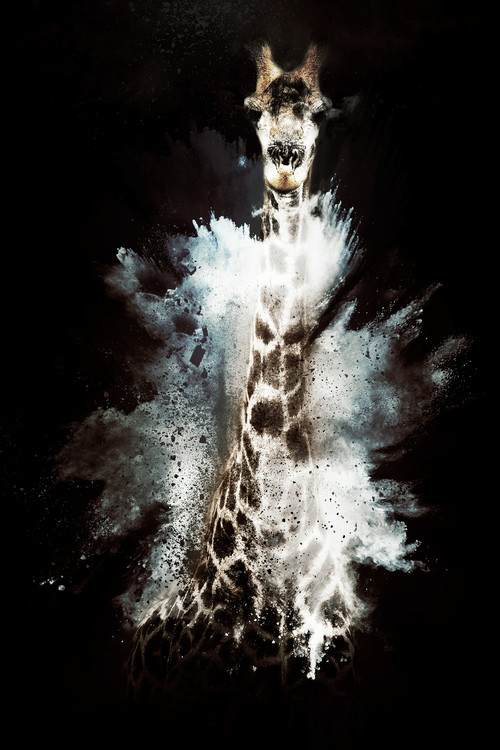 Arte fotográfico The Giraffe