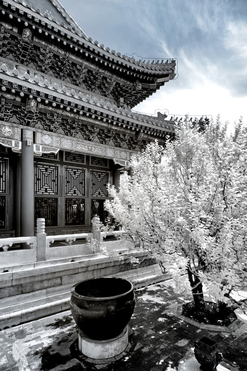 Arte fotográfico White Summer Palace