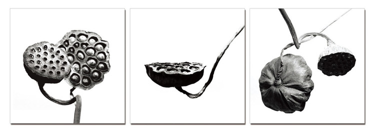 Τοποθετημένη εκτύπωση έργου τέχνης Black and White Flower