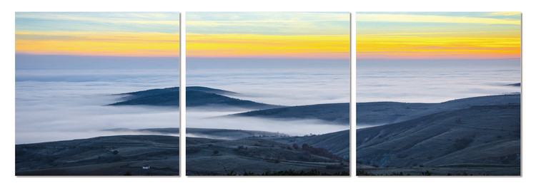 Coast Modern tavla