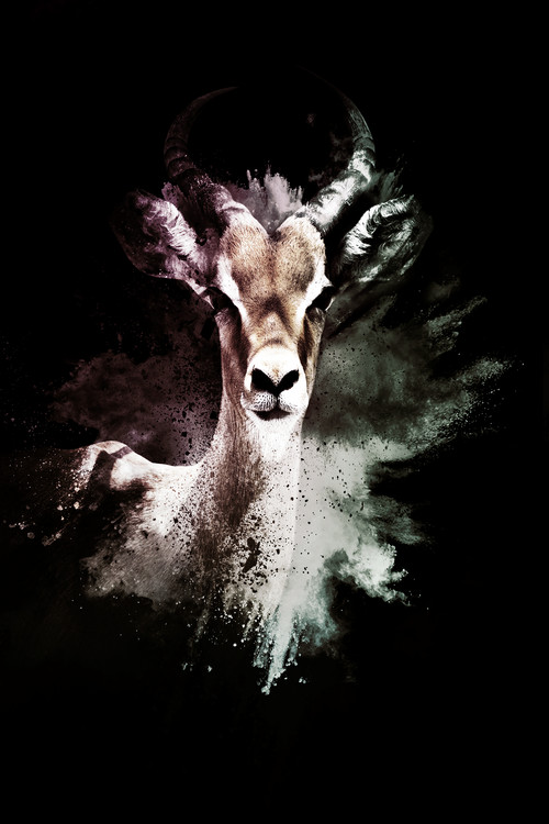 Fotomural The Antelope