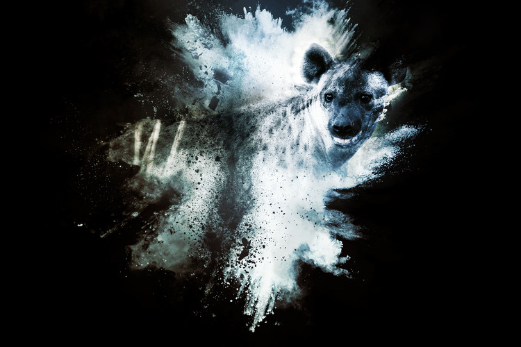 Fotomural The Hyena