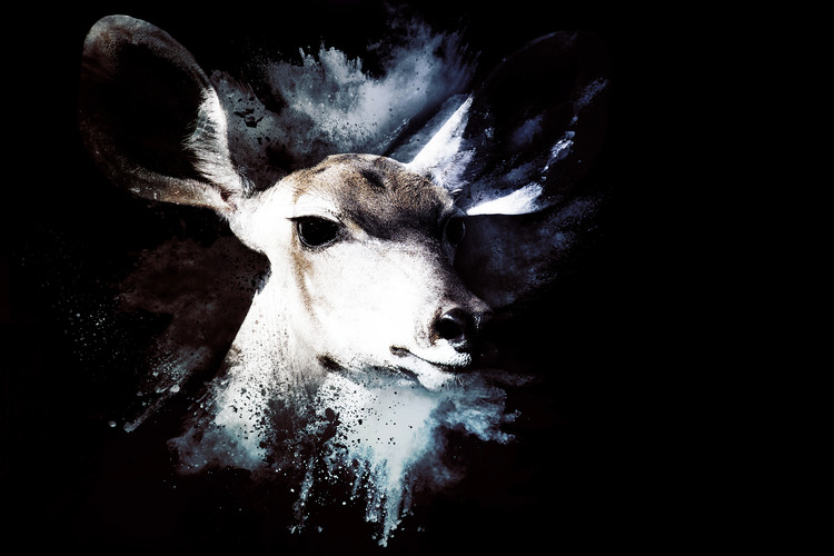 Fotomural The Impala II