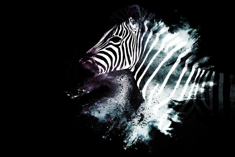 Fotomural The Zebra