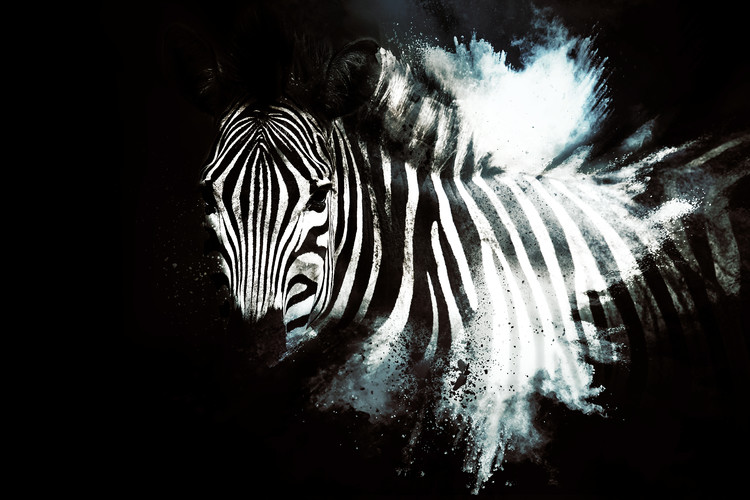 Fotomural The Zebra II