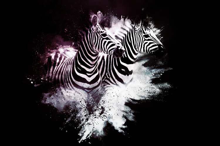 Fotomural The Zebras