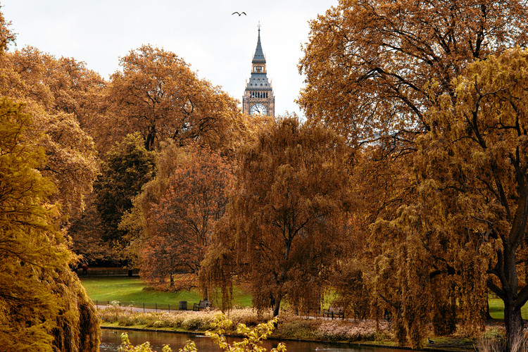 Fotomural View of St James's Park Lake with Big Ben