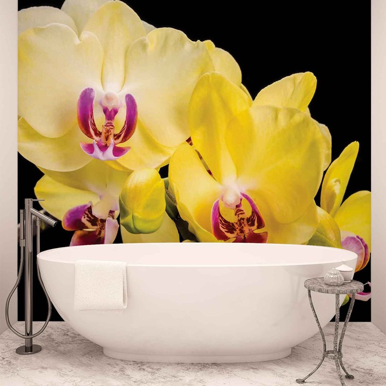 Fototapete Tapete Blumen Orchideen Natur Bei Europosters Kostenloser