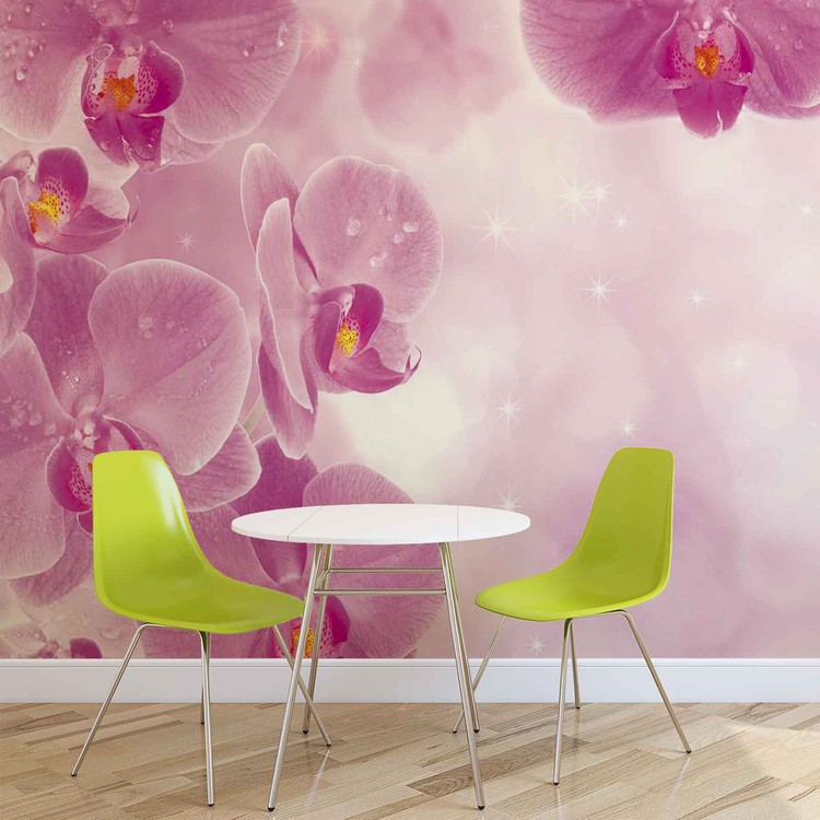 Fototapete Tapete Blumen Orchideen Rosa Bei EuroPosters Kostenloser