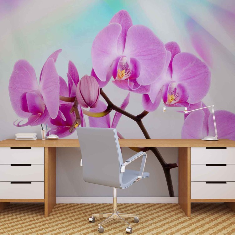 Kwiaty Orchidee Fototapeta Tapeta Kup Na Posters Pl