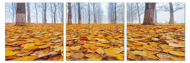 Ground covered with leaves Modern tavla