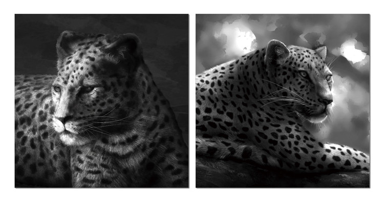 Beast hidden in gray Obraz