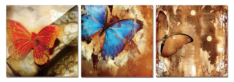 Butterfly - Art of Nature Obraz