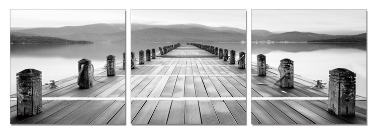 Faded Glory Obraz