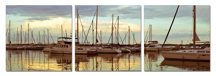 Peace in the dock Obraz