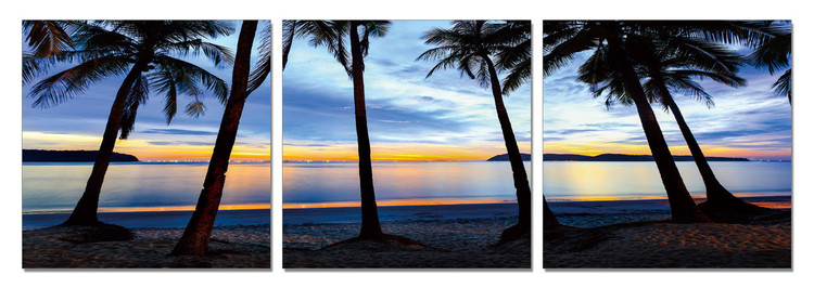Silhouettes of palm trees on the beach Obraz