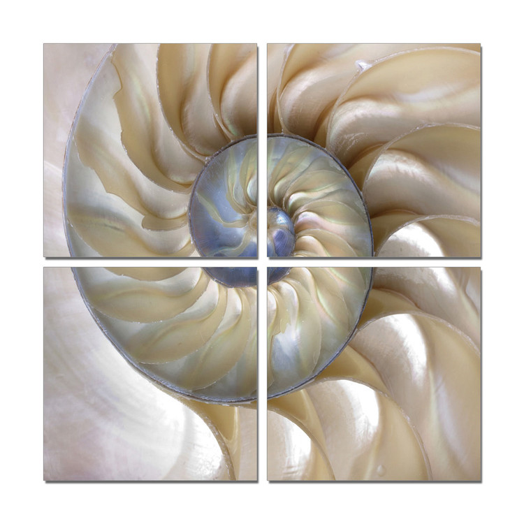 Spiral staircase Obraz