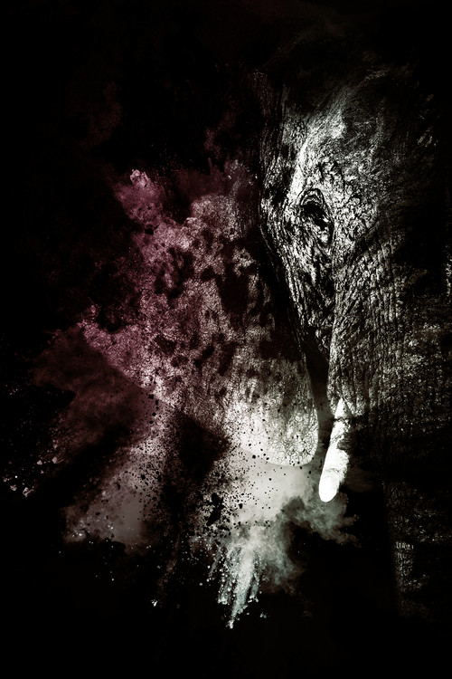 The Elephant Poster Mural XXL