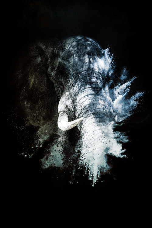 The Elephant II Poster Mural XXL