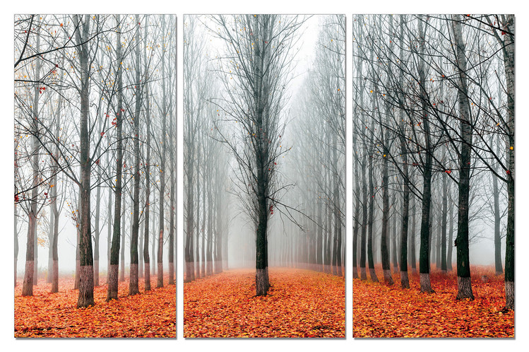 Autumn Alley Schilderij