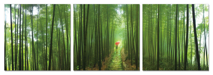 Bamboo Forest Schilderij