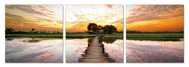 Dream Path Schilderij
