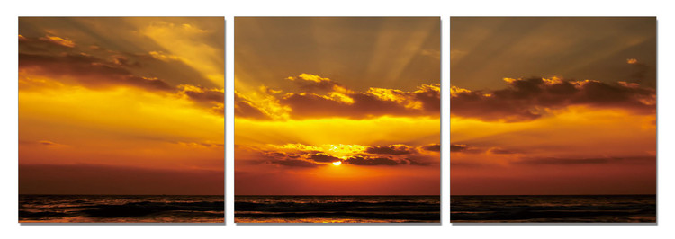 Golden sunset Schilderij