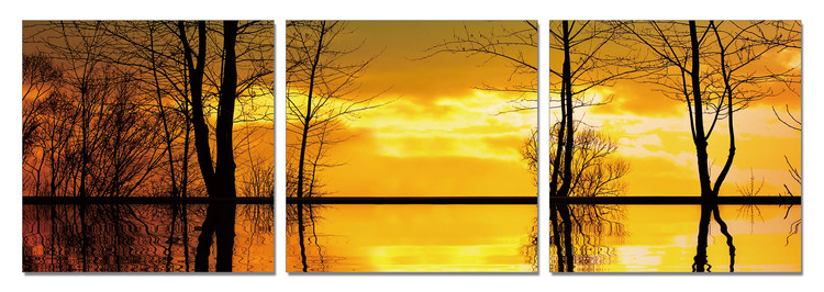 Tree Silhouettes - Calm Water Schilderij