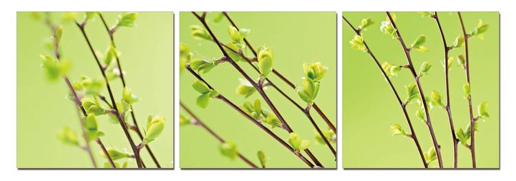Twigs on green canvas Schilderij