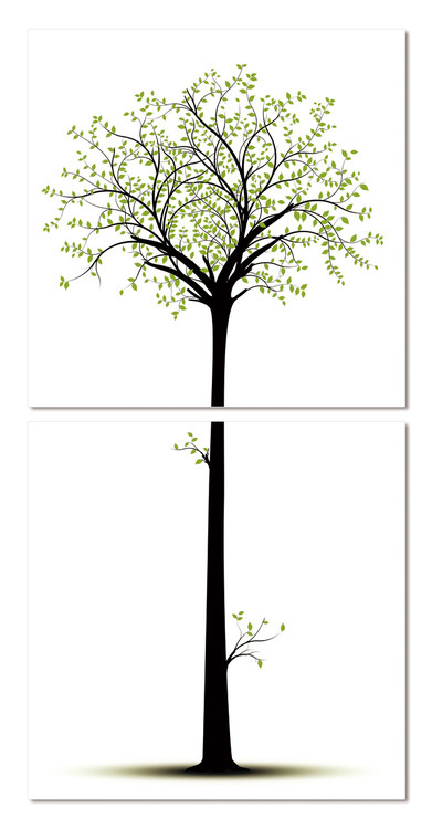 Cuadro Silhouette of a tree