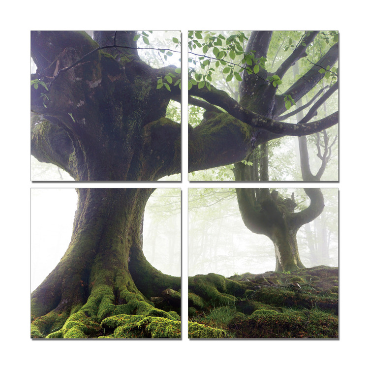 Spreading tree Modern tavla