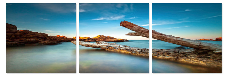 Tree afloat Tableau Multi-Toiles