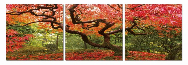 Colorful Park Tablou