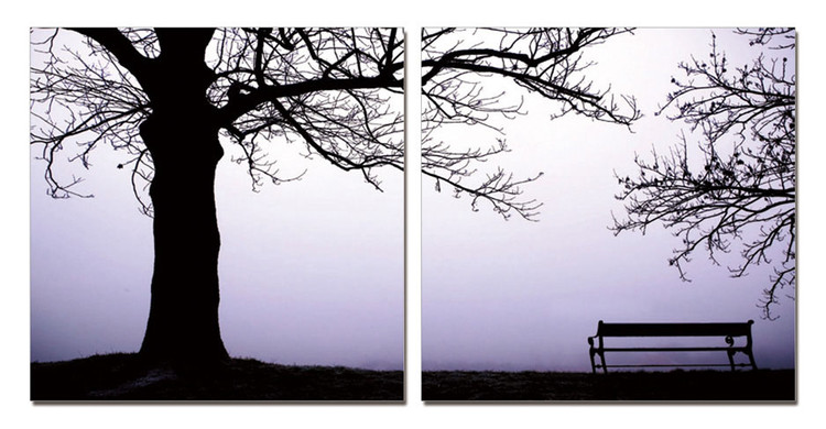 Drizzly morning in the park Tablou