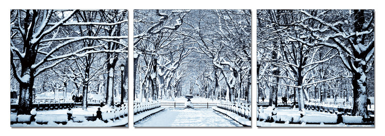 Snowy park Tablou
