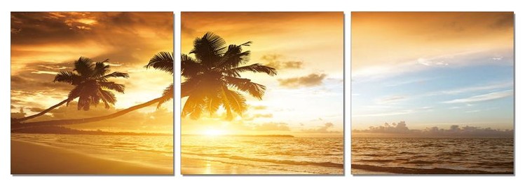 Sunset on the beach Tablou