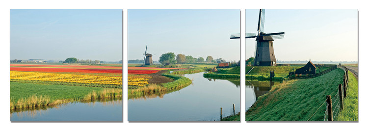 Windmills of Holland Tablou