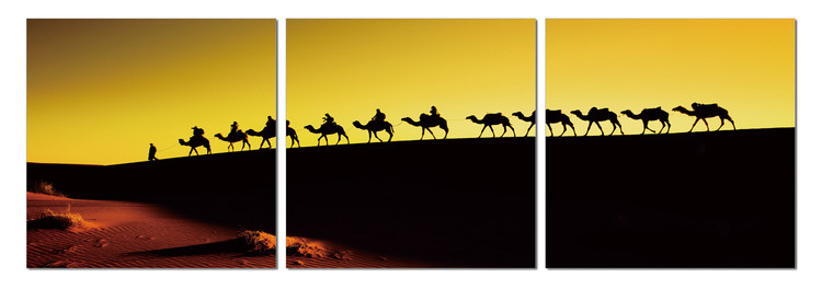 Wandbilder Camel caravan on the horizon
