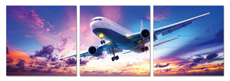 Wandbilder Landing Plane at Sunset